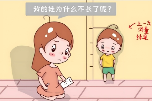 º¢×Ó²»³¤¸ö×Ó